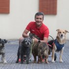 El periodista deportivo cuida de sus canes con devoción.