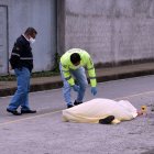 El muchacho liquidado estaba en la esquina del sector donde residía, en la ciudadela Bellavista.