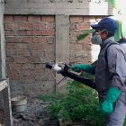 En las provincia de la costa como Guayas y El Oro llevan a cabo jornadas d fumigación