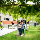 Según la Ecotec, con las proyecciones espera salvar unos 1.800 árboles