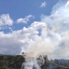 Los bosques son afectados por estos desastres que a veces son provocados por el hombre.