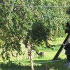 En este suelo hay producción de manzanas, claudias, capulíes y duraznos.