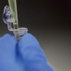 El medicamento para el tratamiento contra los parásitos en animales y humanos es barato.