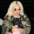 El miércoles mataron al cuidador de perros de Lady Gaga.