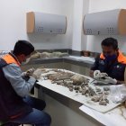 Expertos 

del Centro de Investigación e Interpretación analizando las últimas piezas halladas.