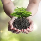 Los estudiantes abordarán diferentes temas sobre el cambio climático