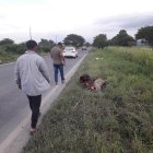 Los huesos de los animales fueron hallados por Salitre.