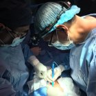 En la operación se puede sacar el estómago, vesícula, bazo y ganglios. Es según 
el caso del paciente.