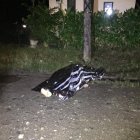 El cadáver quedó tendido en la vía luego del ataque.