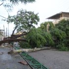 El árbol derrumbó una pared de la escuela donde estaba plantado.