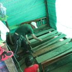 45 viviendas del recinto San Isidro fueron afectadas, aunque en menor impacto.