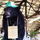 Pablo EskoBear fue encontrado por un guardaparques rodeado de paquetes de cocaína.