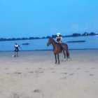 Policías ecuestres ayudan al control en esta nueva área de esparcimiento de Samborondón