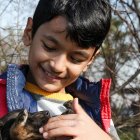 Dialoga con su hijo y juntos escojan a su amigo de ‘4 patas’