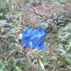 El cuerpo de la señora fue cubierto mientras llegaban los agentes.