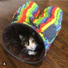 Los gatos suelen ser bastante activos. Gustan de lugares para esconderse.