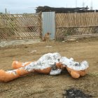 Dos mujeres habrían disparado contra una casa que era habitada por una menor de edad.