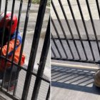 El motorizado entrega los paquetes y se queda jugando con la perrita.