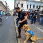 Los animales de asistencia ayudan a personas con discapacidad o alguna enfermedad a llevar una vida, relativamente, normal.