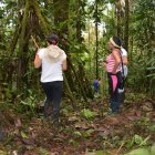 Con largos palos bajan los frutos de la palma.