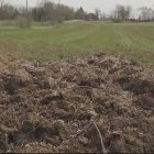 El muro de excremento de vaca que divide ambas propiedades.