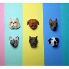 Estas son las razas más pedidas.