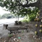 Un vendedor de cocos encontró el cadáver cerca de su negocio.