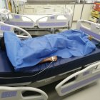 El pequeño fue llevado al hospital, pero no se pudo hacer nada.