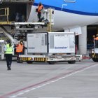 Las dosis compradas y donadas por China llegaron en contenedores especiales para prevenir el daño de las vacunas.