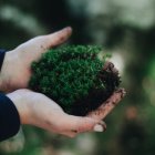 La ONU advierte que se vienen años vitales para salvar el planeta.