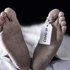 Un condenado a cadena perpetua murió por covid-19.