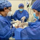 Un equipo conformado por 38 profesionales de la salud ayudaron en el parto.