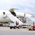 Llega nuevo lote de vacunas anticovid.