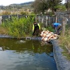 Un día estuvieron desaparecidos los niños de su casa.