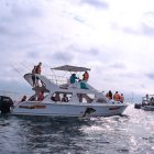Tras navegar 35 minutos desde la costa se puede apreciar a las imponentes ballenas que surcan en el mar.
