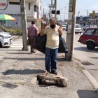 Pedro Castro no se fue al hoyo porque se percató del tronco ubicado en la avenida Rolando Pareja, calle principal de La Garzota.
