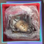 La cabeza reducida o tzanza traída dentro de una envoltura