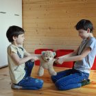 Padres y cosas externas pueden causar rivalidad entre hermanos.