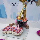 El precio más barato para la organización de una fiesta canina es de 50 dólares.