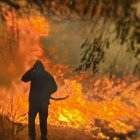 Los siniestros forestales han sido siempre uno de los peores males de California.