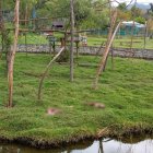 Los dos especímenes presentaban lesiones por perforaciones de colmillo.