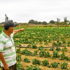 Unas 400 familias se beneficiarán con el proyecto recientemente adaptado.