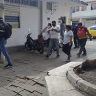 El niño cayó al río y fue hallado horas después por unos pescadores.
