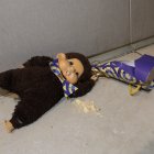 Así quedó 'Tito', luego de mezclar cerveza con sangría.