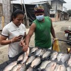 Luisa se fue a comprar los pescado para un mega arroz con menestra.