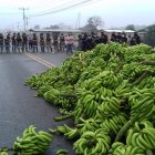 Policías observan el cierre de la vía a Daule con banano. Es una de las vías bloqueadas por los agricultores.