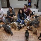 A Lorena (chompa jean) la apoyan tres mujeres en el cuidado de los gatitos. Todos tienen nombre.