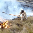 Un guardaparque lucha contra el avance de las llamas.
