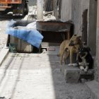 Hubo personas que construyeron casas en las veredas para los abandonados.