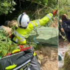 Rescatistas acudieron a salvar a la adulta mayor luego de que el gato mostrara preocupación por ella.